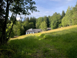 FLOIDE Salz- und Gewürzmühle